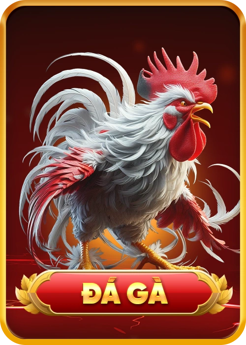 đá gà uu88
