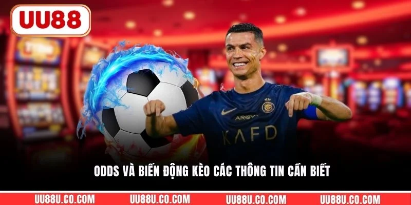 Tỷ Lệ Kèo Châu Á - Cách Hiểu Chuẩn Xác 4 Giá Trị Cơ Bản Odds và biến động kèo các thông tin cần biết